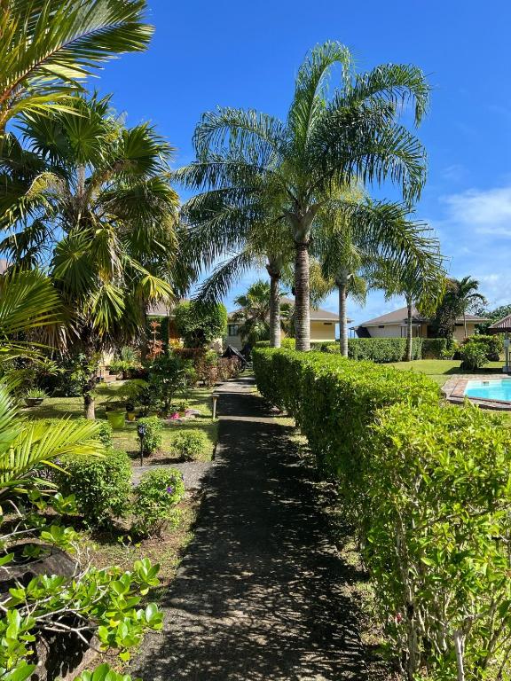 Luna's Home Raiatea - photo 9 - Raiatea, Polynésie