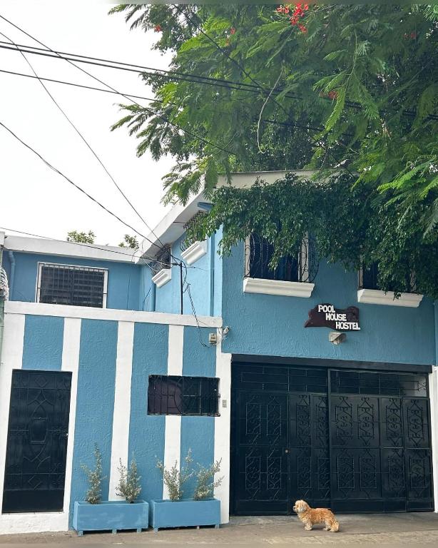 a cat laying in front of a blue building at Pool House Hostel in Santa Ana