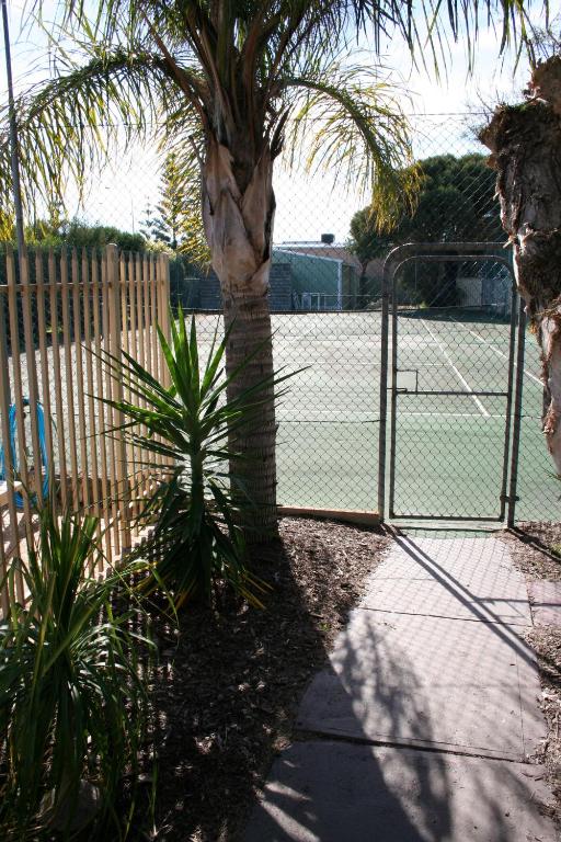 Tenis a/nebo squash v ubytování BIG4 Bunbury Riverside Holiday Park nebo okolí
