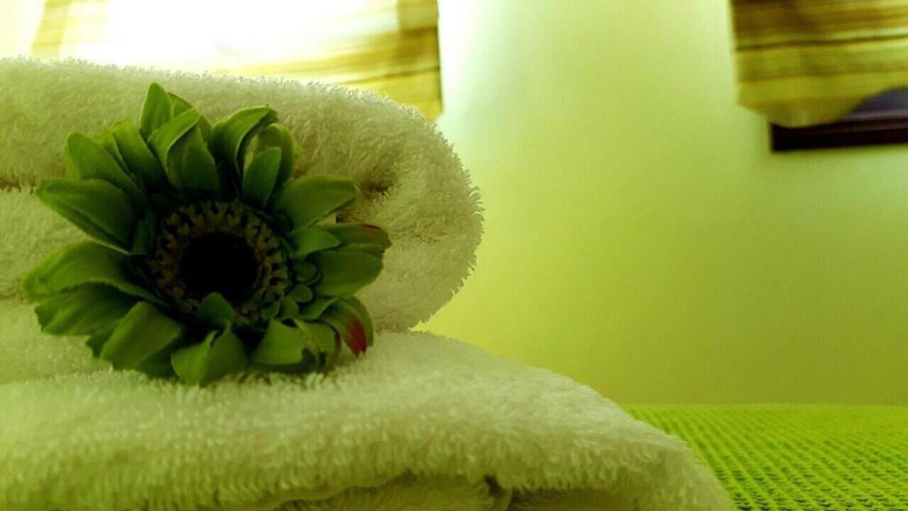 Fotografie z fotogalerie ubytování Pension Anastasia v destinaci Amolianí