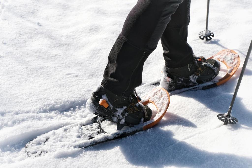 una persona sta sugli sci nella neve di SeeHotel & SeeApartments Kärntnerhof- direkt am See! a Weissensee