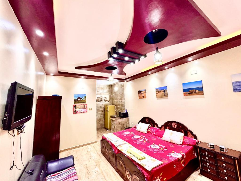 Safari Abu Simbel - 1