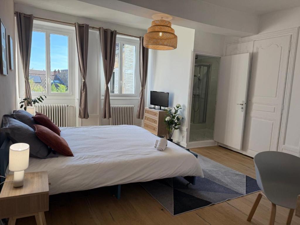 a bedroom with a large bed and a television at Les appartements de "Claire" in Pont-de-Vaux