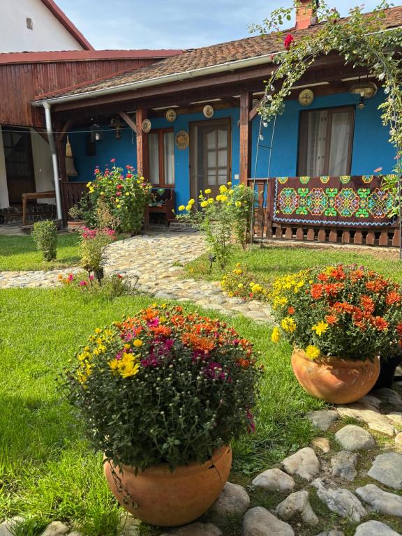 two large pots of flowers in front of a house at La Novaci Porumbacu de Sus 270 in Porumbacu de Sus