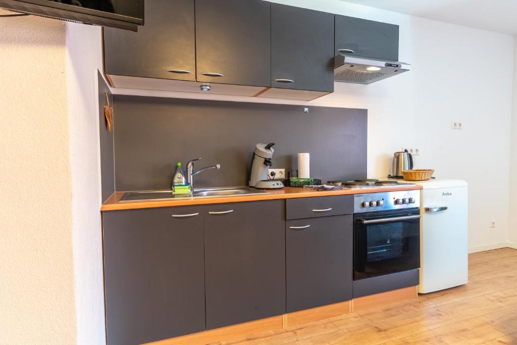 Ferien & Business Apartments Hohenfels - Estudio
