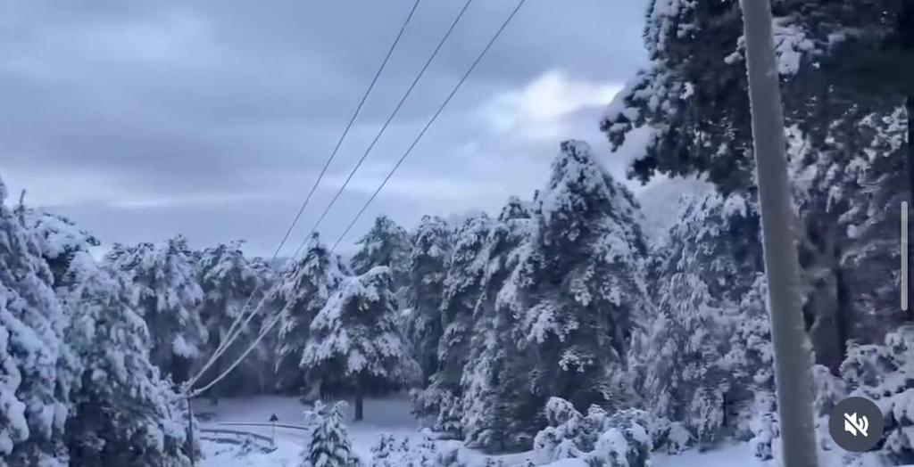 Ảnh trong thư viện ảnh của Qafeshtama Guesthouse ở Krujë