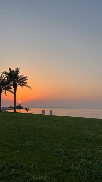 two palm trees in a field with the sunset in the background at Khobar Apartments in Al Khobar