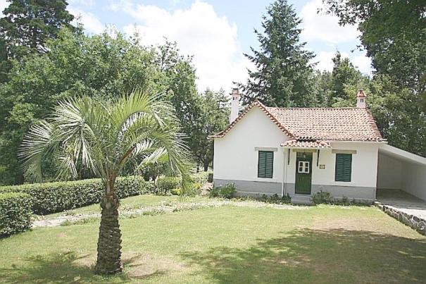 Hotel Urgeirica - 13