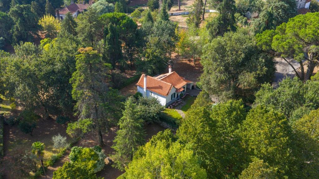 Hotel Urgeirica - 17