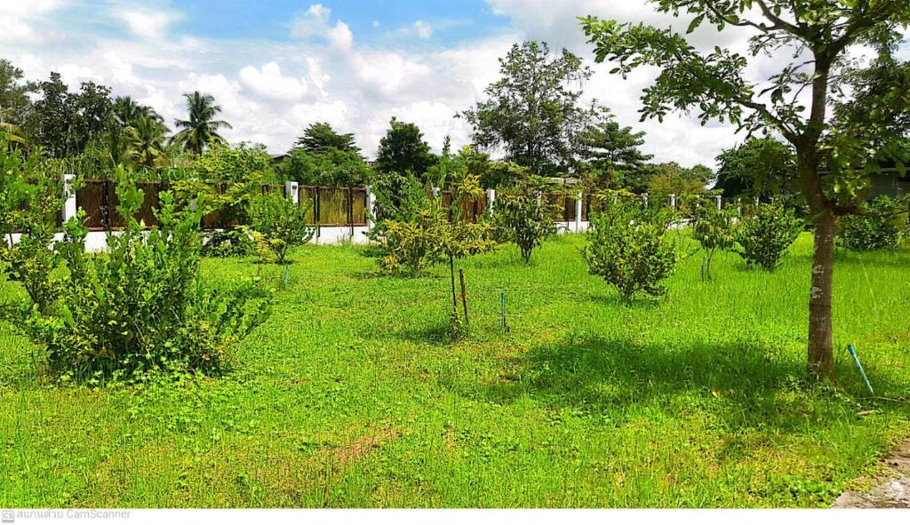 T-NEE Hotel@Udon - Resim 30