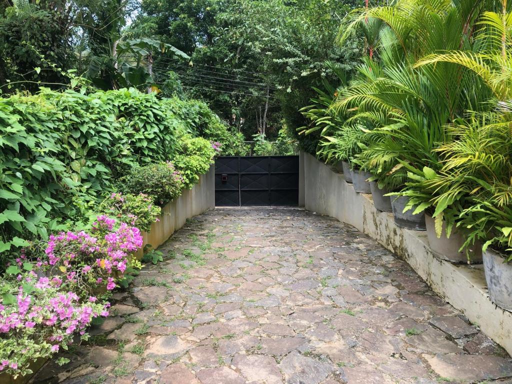 Zahrada ubytování Lenora House, Unawatuna