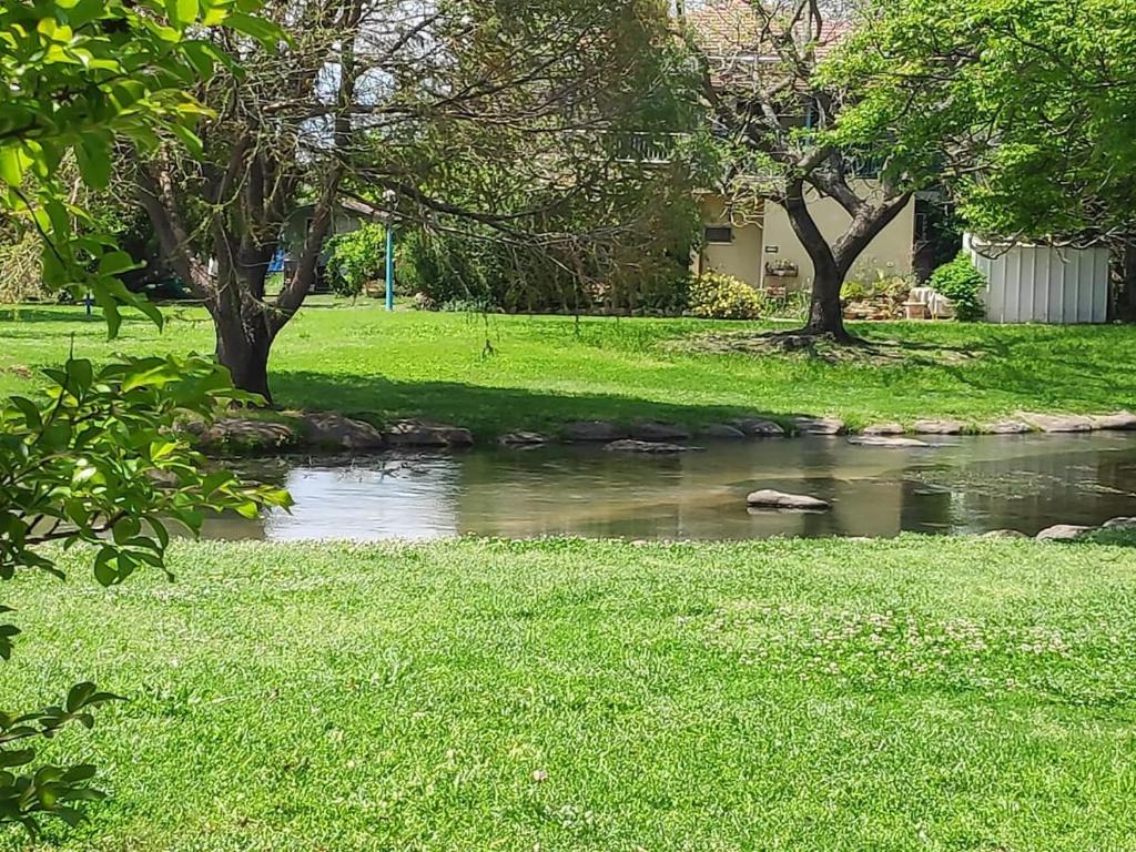 a stream in a park with grass and trees at צימר על הנחל in Metsudat Menahem Ussishkin Alef