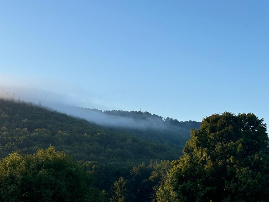 a misty mountain with trees in the foreground at Riverbend berkshire east basecamp in Charlemont