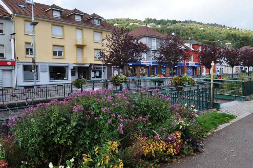 a group of buildings and flowers in a town at Cosy appartement La Bresse centre ville in La Bresse