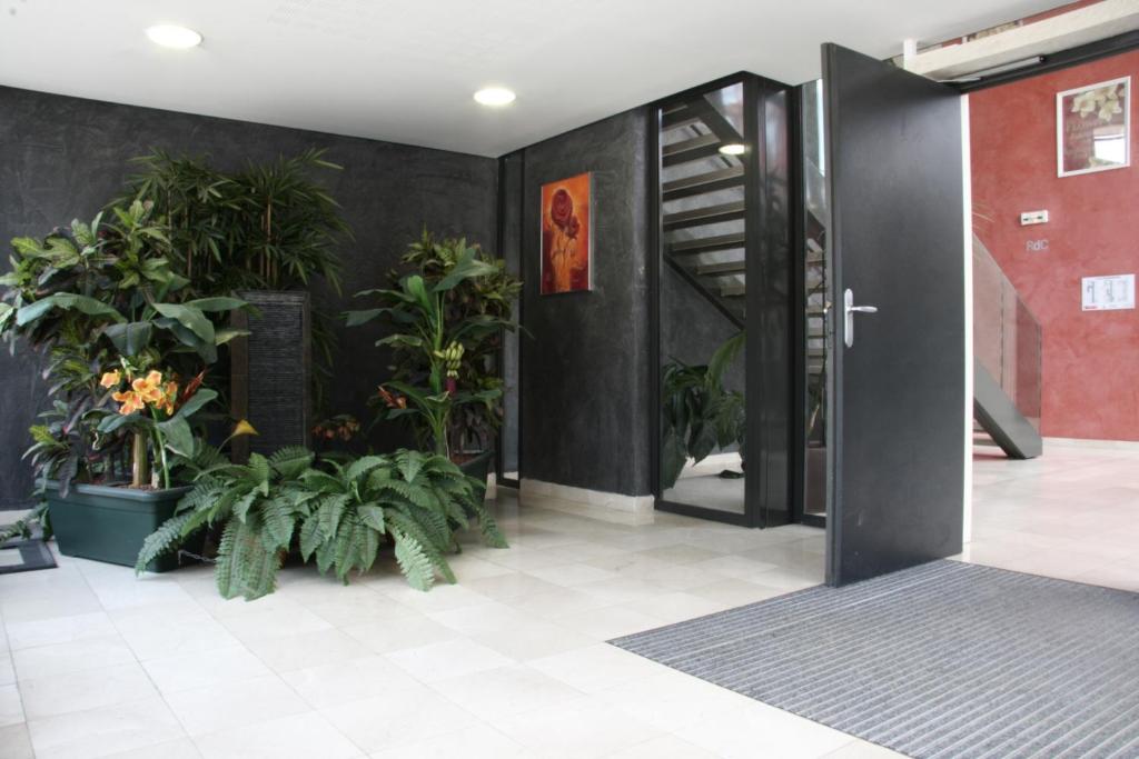 a hallway with potted plants and a black wall at Séjours &amp; Affaires Paris Ivry in Ivry-sur-Seine