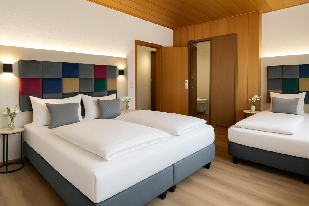 Hotel Daucher - Resim 16