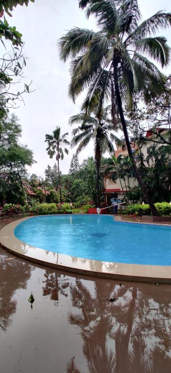 Πισίνα στο ή κοντά στο Vagator Forest View