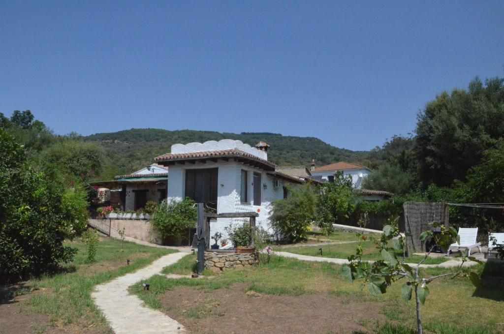 ein Haus mit einem Weg, der dorthin führt in der Unterkunft Casa museo junto al río in Cortes de la Frontera