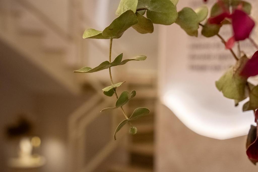 Casa Ollerias by ChicStays - Resim 37