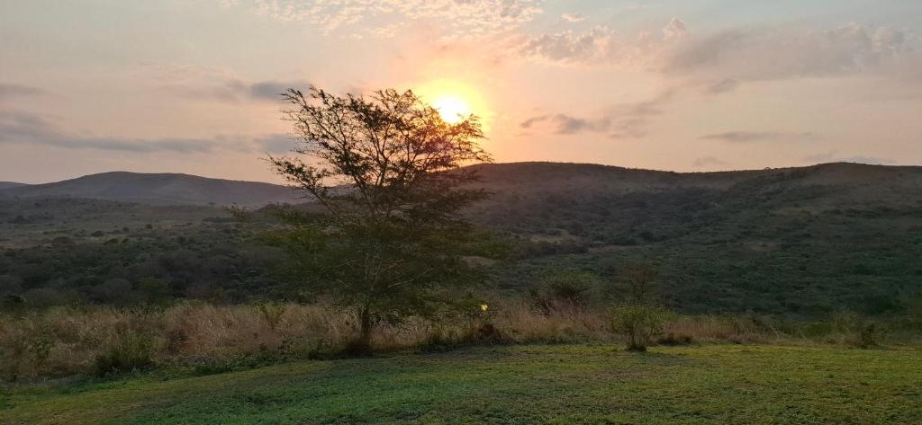 Φυσικό τοπίο κοντά σε αυτό το σαλέ