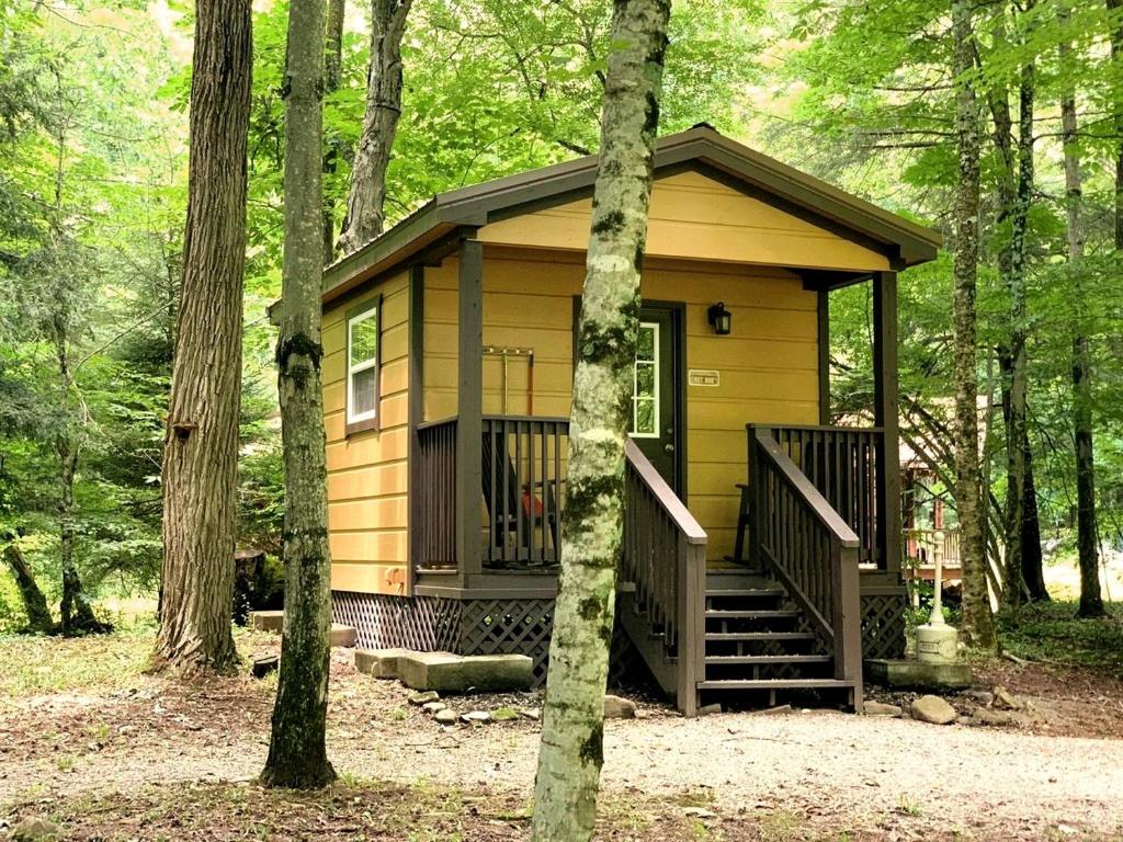 Φωτογραφία από το άλμπουμ του Embrace Nature in this Cabin in Monterville, West Virginia σε Monterville