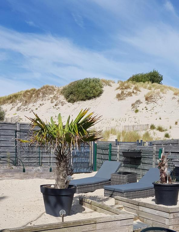 two potted plants sitting in front of a beach at Maison des dunes in Berck-sur-Mer
