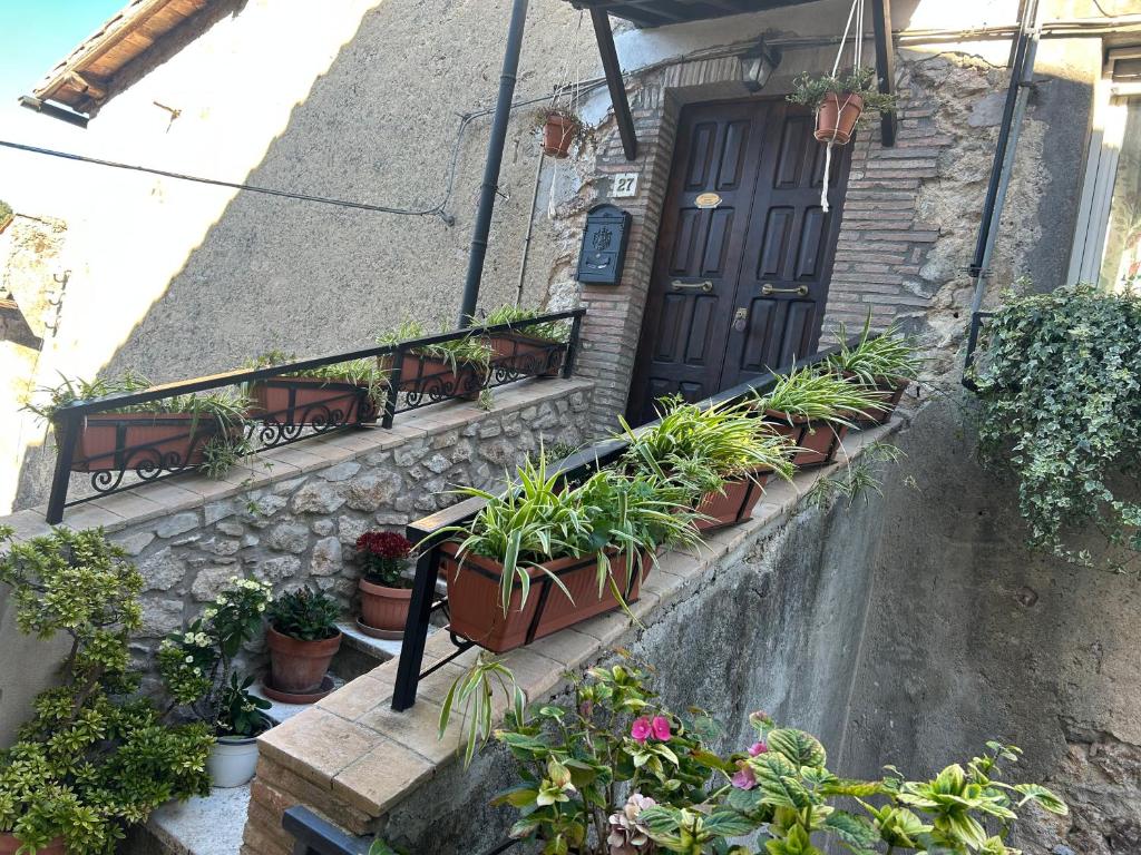 a set of stairs with potted plants in front of a door at La Casa Dei Fiori in Tolfa