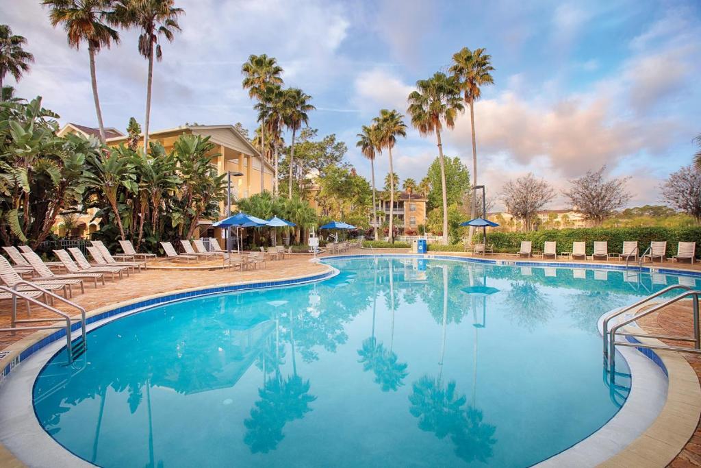 a large swimming pool with chairs and palm trees at Club Wyndham Cypress Palms in Kissimmee