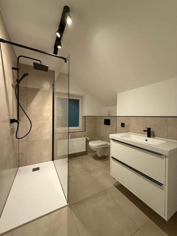a bathroom with a shower and a sink and a toilet at Skywalk Loft Willingen in Willingen