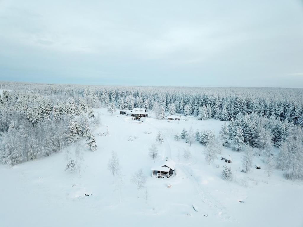 una vista aerea su una foresta innevata con case di Villa Ketola a Ranua