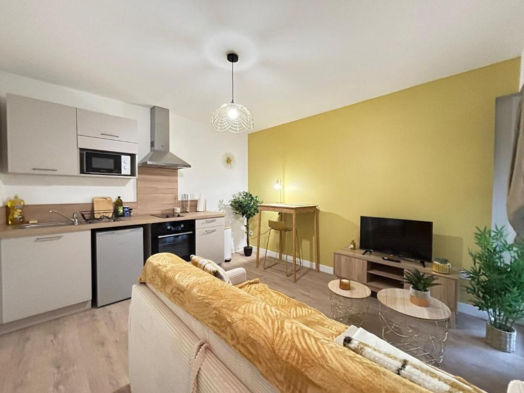 a living room with a couch and a kitchen at L'Étoile dorée avec Parking in Valence
