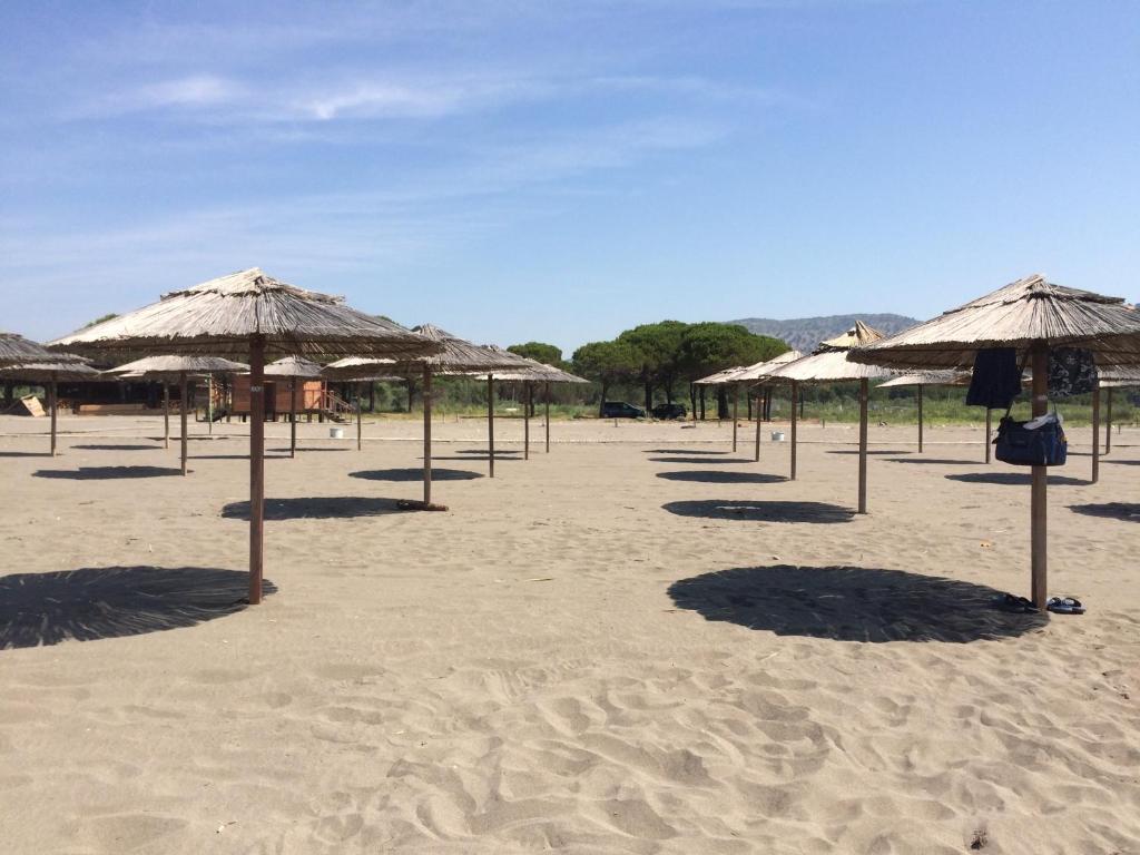 a group of straw umbrellas on a beach at H and H Guesthouse in Velipojë