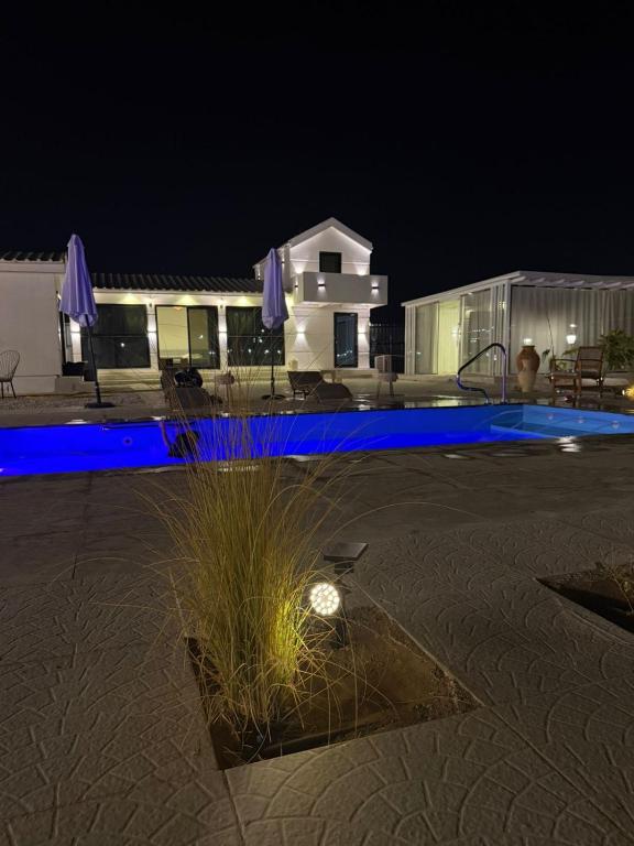 艾恩Deem view的夜晚的游泳池,灯光蓝色