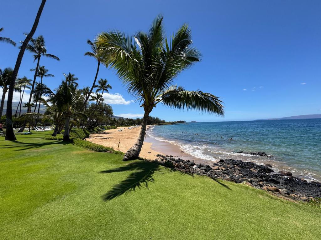 a beach with palm trees and the ocean at Kihei Beach Condo, Romantic Kamaole II in Kihei