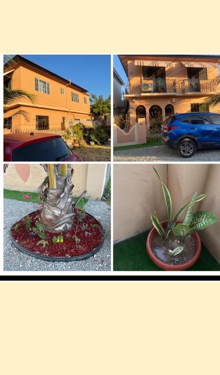 a group of four pictures of a house and a plant at Perfect vibez in Portmore