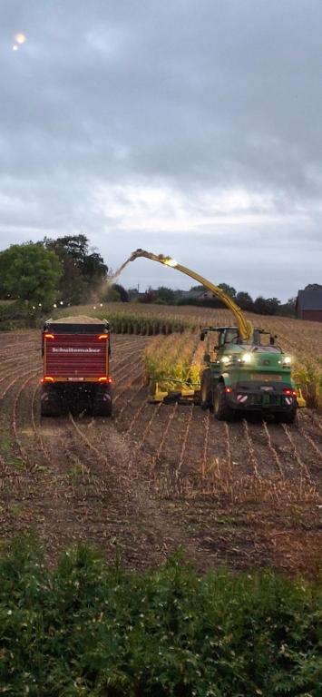 Φωτογραφία από το άλμπουμ του Trees Fontain σε Jalhay