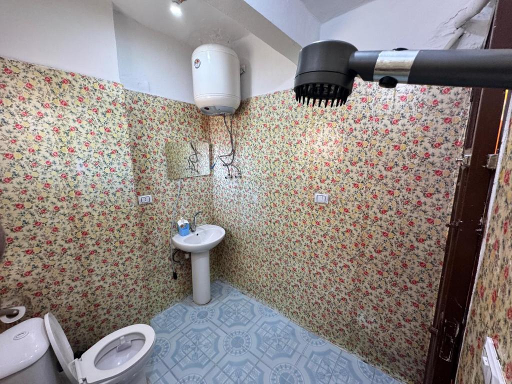 阿斯旺Aswan sunrise的带马桶和水槽的浴室