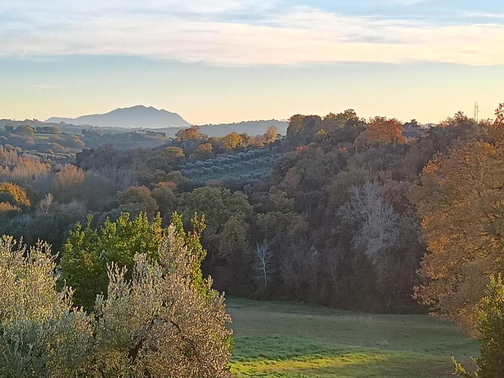 La Nocciolaia