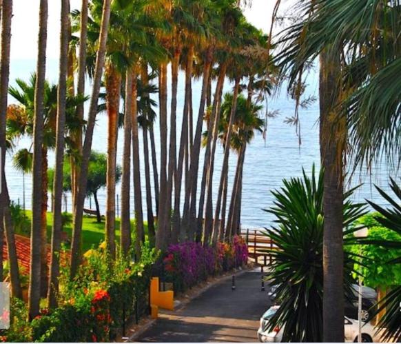 una pasarela con palmeras y flores junto al océano en Apartamento Playa Algaida, en Sitio de Calahonda
