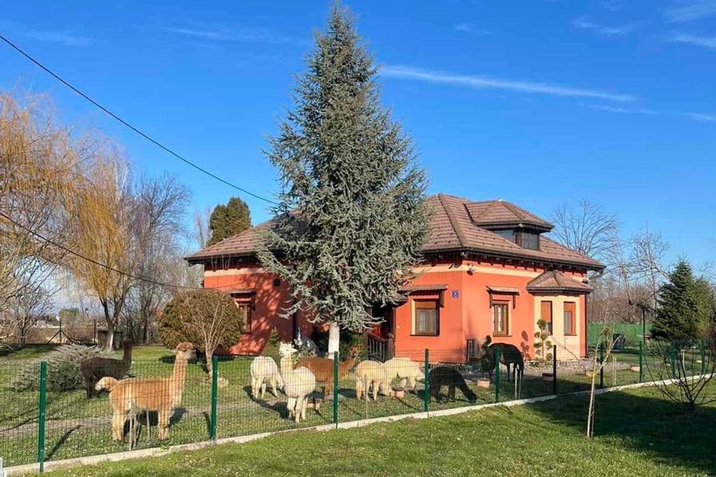 a group of animals standing in front of a house at Family friendly house with a parking space Andrijasevci, Slavonija - 24939 in Rokovci