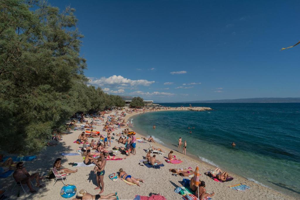 Príroda v okolí penziónu