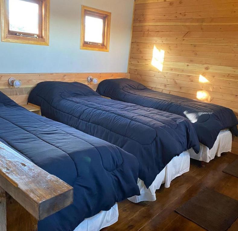 two beds in a room with wooden walls at Cabañas ROCA DEL LAGO, en Villa Pehuenia in Aluminé