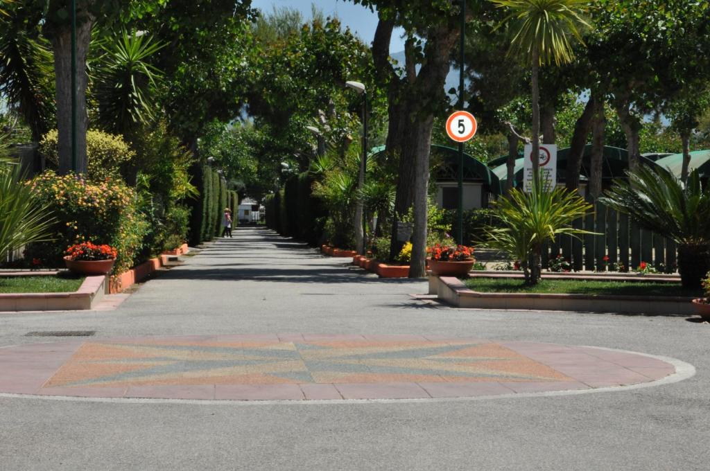 a street with trees and a sidewalk with a sign on it at Camping Poseidonia in Paestum