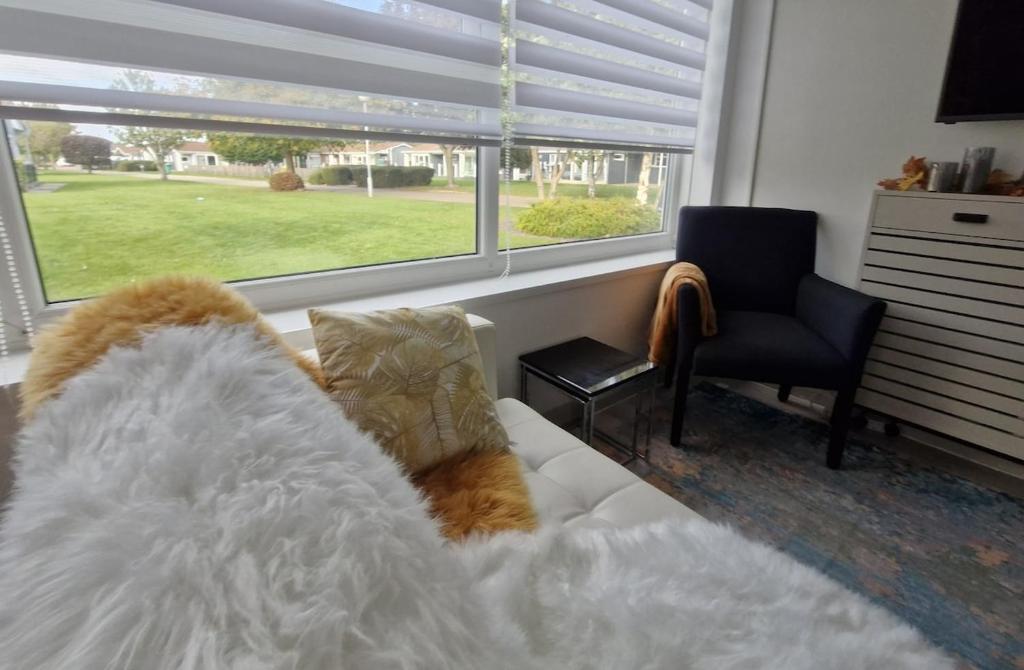 - un salon avec un canapé, une chaise et une fenêtre dans l'établissement Modern Newly Renovated Home on the Broads, à Lowestoft