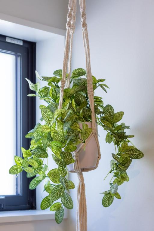 Walk In, Unwind & Feel Right at Home - Resim 14