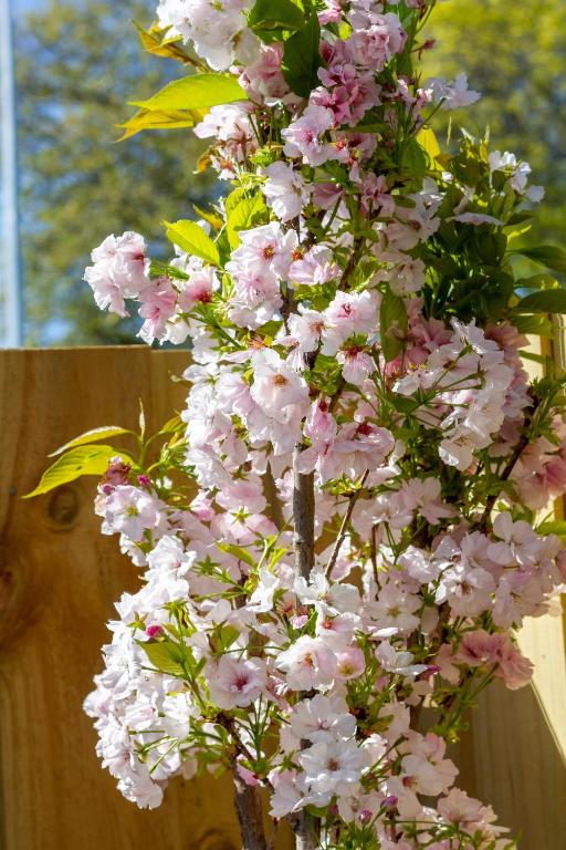 Walk In, Unwind & Feel Right at Home - Resim 33