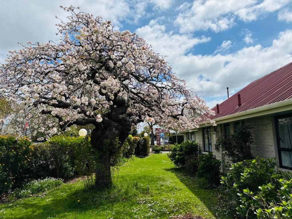 Awatea Park Motel - Resim 11