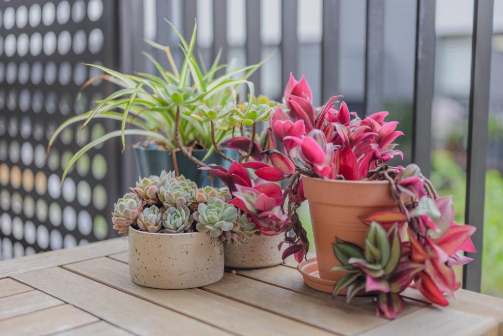 2BR City Escape on Welles Street - Resim 32