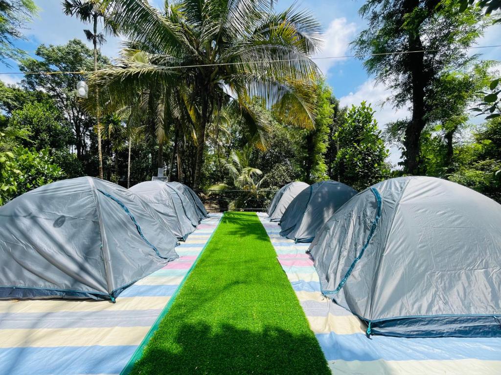 una hilera de tiendas de campaña con hierba en un campo en EarthWise Camping, en Kalpetta