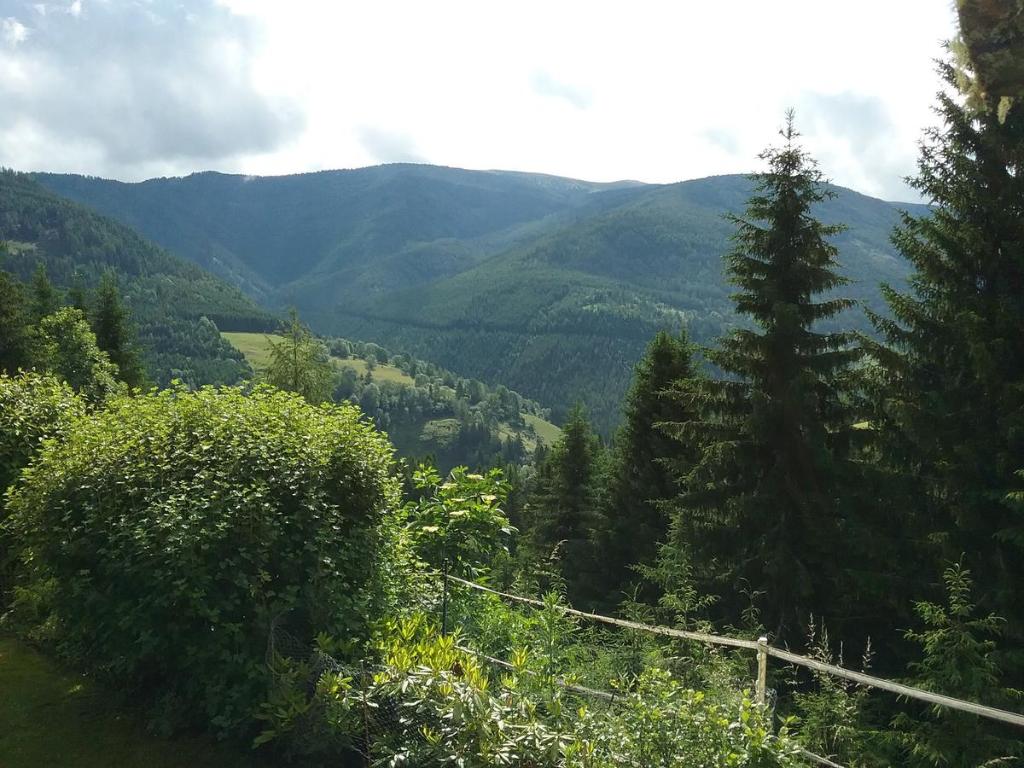 Příroda nedaleko apartmánu